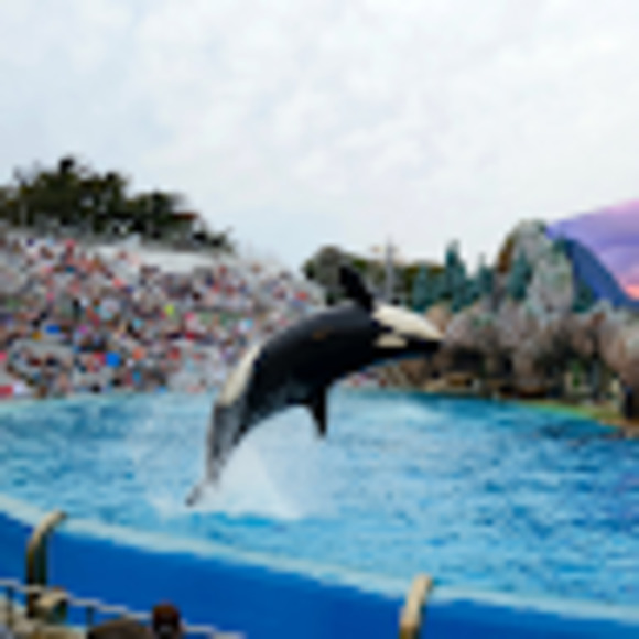 Meet your Posher, Scott - Picture 1 of 1